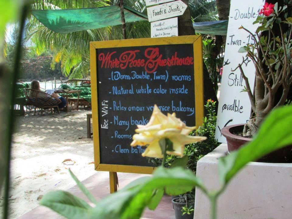 White Rose Kaoh Touch
